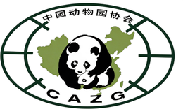 中动协 中动协